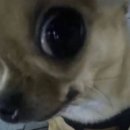 저기요