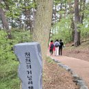 카프리보쉬 | 중학동창과 안면도 튤립축제 봄소풍