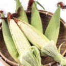 삼광목장 이미지