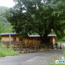 반구대민박 Daum카페