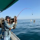 장인호 | 속초 배낚시 장인호 커플 이용 후기