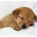 속편한한의원 이미지