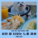 펫존&견생컷 | 인천 검단맛집 브런치카페 아기랑 애견동반 카페 온안