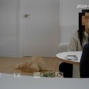 영애견 - 강서구 곰달래로 199 | 영애견