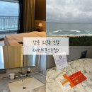 스마트호텔 건너 | 강릉 애견동반호텔 ‘세인트존스호텔’ - 골져스 오션 더블 객실 후기