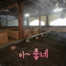 편백효소테라피