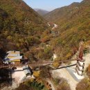 금산산림문화타운 이미지