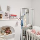 김해 강아지분양 베베몽 이미지