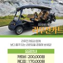 하이원CC 라운딩 후기 | 여름 골프의 성지, 해발 1,100m에서 즐긴 시원한 라운드