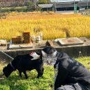 김동희농장 이미지