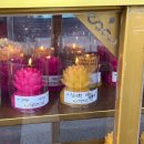 동수원검도교실 | 심선생이라 불러라