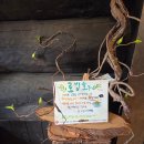 남원장식 | [국내/제주] 서귀포 남원큰엉 카페 로빙화 | 크리스마스 감성 가득한 바다뷰 후기