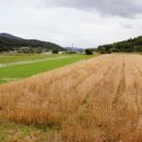 금강방앗간 이미지