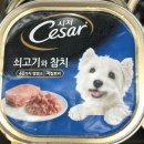 시저