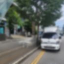 하이탑약국 이미지