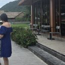 오라세차장 | [ 수영일기 ] 11월 한달 강습 &amp; 자유수영 후기