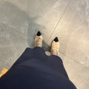 [일상 25] 그동안 일상과 이사 준비 &amp; 쇼핑,,, 그리고 자궁내막용종 수술