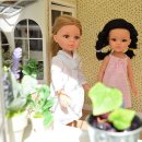 인형의집 이미지