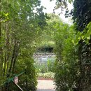 모네의 집 | 파리 모네의 집 지베르니 방문 후기, 기념품샵