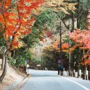 알프스파크여관 이미지