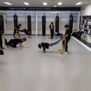 MMA주짓수 이미지