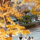 남서울대학교 이미지