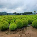 9/6 토 임진강댑싸리공원에서 이미지