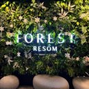 해브닷 | 리솜 포레스트 제천 해브나인 스파 &amp; 레스트리 S30 숙박 후기