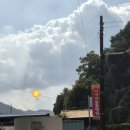 박영재 동물병원 이미지