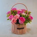 대둔산로 | [대전꽃집추천] 30년 전통의 나이테플라워, 프리지아 구입후기 &amp;어버이날 선물 미리보기