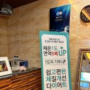튤립스 에스테틱 티스토리