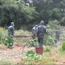 광천초교 이미지