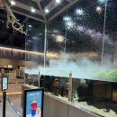 아쿠아랩 잠실 롯데월드점 | [잠실 카페 추천] 아쿠아가든 카페 롯데월드점 - 실내 정글 같은 이색 카페