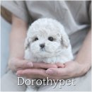 더나은펫샵 이미지