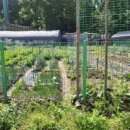 온수골농장 이미지