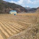 매수1리마을회관 네이버블로그