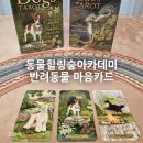 이웅종 반려동물 힐링센터 | [동물힐링숲아카데미] 반려동물 마음 카드 상담 후기 :)