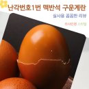 당진맥반석구운계란 | 난각번호1번 맥반석 구운계란 30구 다이어트 식단 관리 후기