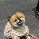 드림포유 | 포유드림 2주차 | 포스코 취업 아카데미 입과 첫 주 후기 :: 포취아 대면 교육 시작, 식사 메뉴