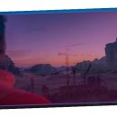 개미환경자원 이미지