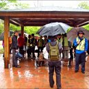 덕성초교 이미지