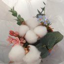 목화마을