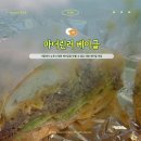 허니베어잉글리쉬 | 이대 맛집 마더린러 베이글 | 서울에서 뉴욕식 정통 베이글을 맛볼 수 있는 곳 내돈내산 후기