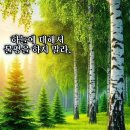 도원 경로당 Daum카페