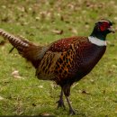 양지말가든 이미지