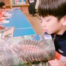 평안골작은도서관 이미지