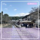 멍애전망대밑(카페) | 히로시마여행2 미야지마 이쓰쿠시마 오리즈루타워 전망대 히로시마성 힐튼 히로시마