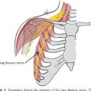 잇짐 미남점 이미지