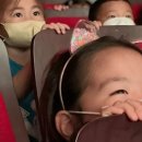 주니삼촌 공룡애니멀쇼 시즌2 이미지