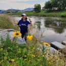 천안천4길 이미지